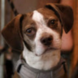 Meet your Posher, Jacqueline